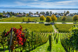 Deutschland, Baden-Württemberg, Bodensee, Immenstaad am Bodensee, Blick nahe Hohberg Deutschland, Baden-Württemberg, Bodensee, Immenstaad am Bodensee, Blick nahe Hohberg